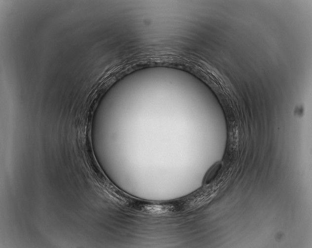 X0000101210558200806270856
