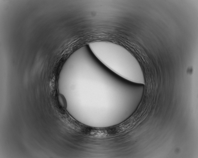 X0000101210559200806270856