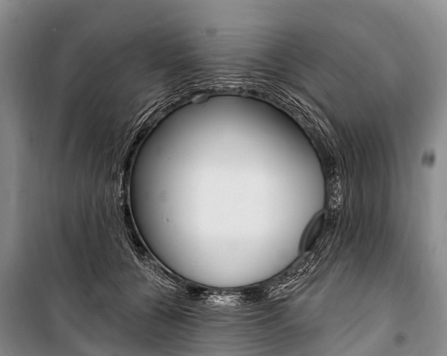 X0000101210560200806270856