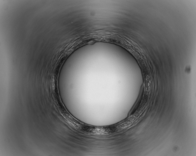 X0000101210562200806270856