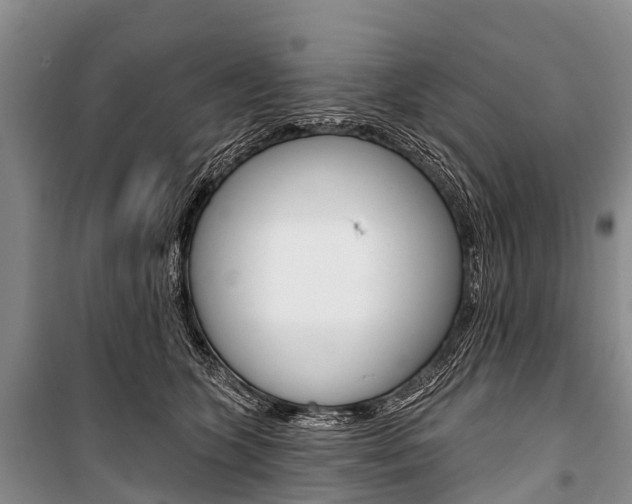 X0000101210563200806270856