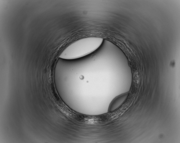 X0000101210564200806270856