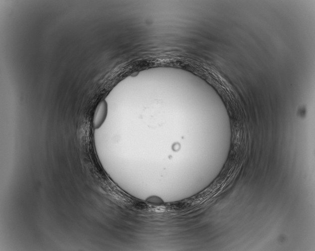 X0000101210565200806270856