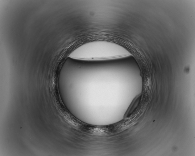 X0000101210566200806270856
