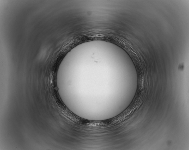 X0000101210567200806270857