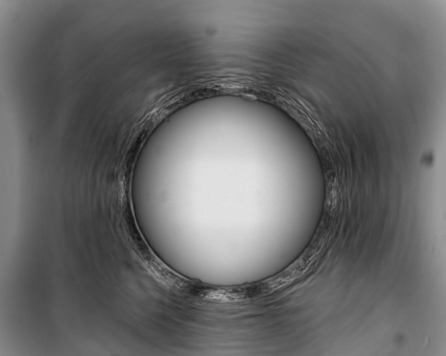 X0000101210568200806270857