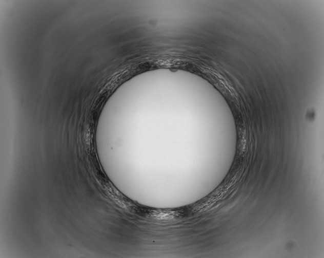 X0000101210569200806270857