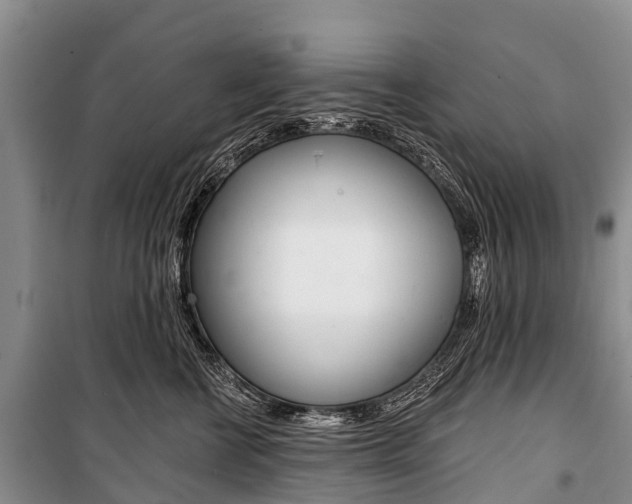 X0000101210570200806270857
