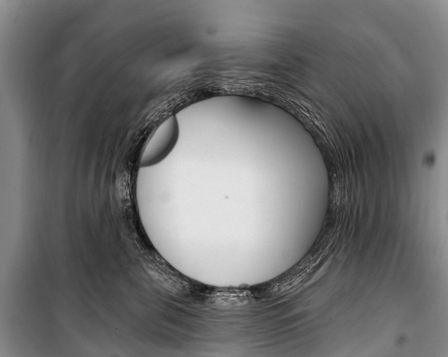 X0000101210571200806270857