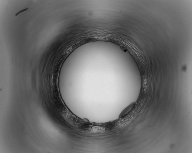 X0000101210572200806270857