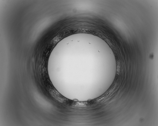 X0000101210573200806270857