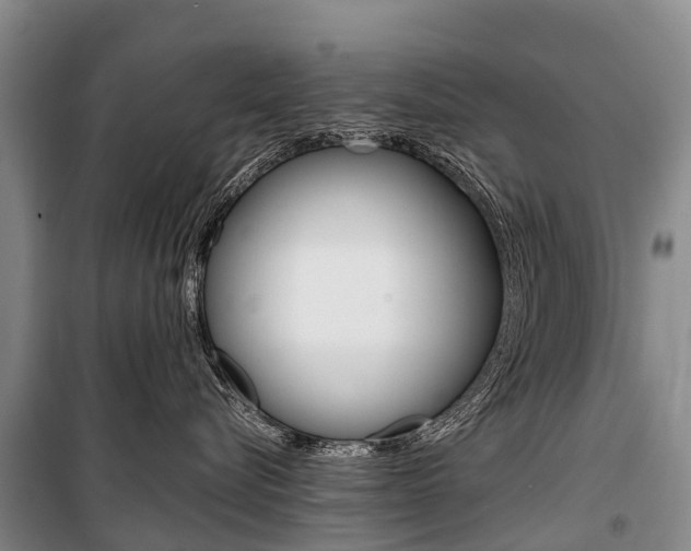 X0000101210576200806270857