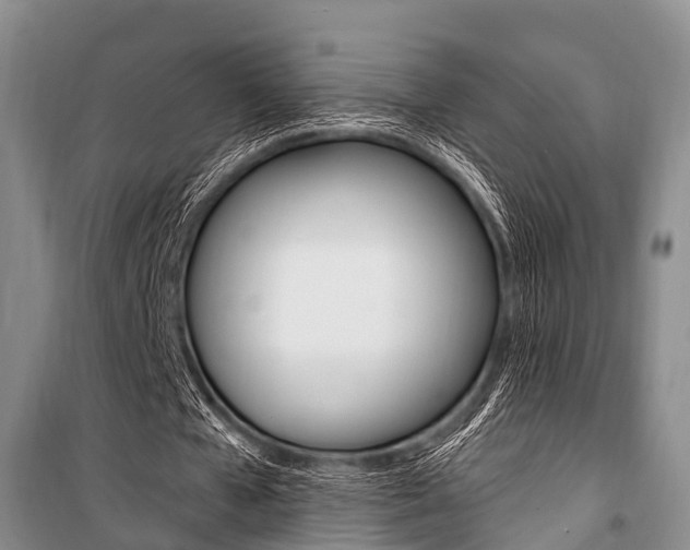 X0000101210577200806270856