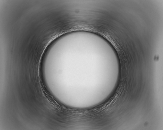 X0000101210579200806270856