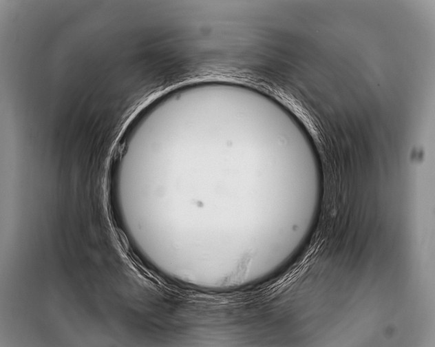X0000101210580200806270856