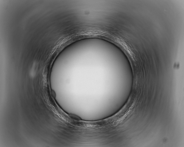 X0000101210585200806270856