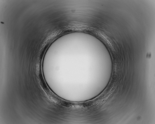 X0000101210586200806270856