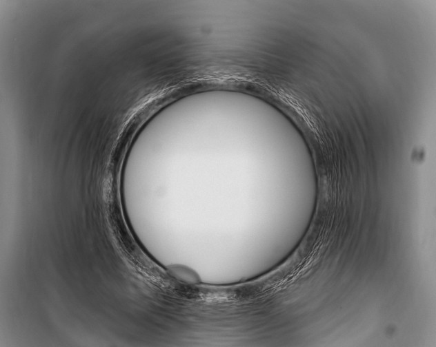 X0000101210587200806270856