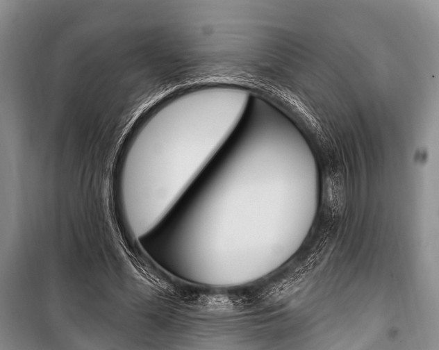 X0000101210588200806270856