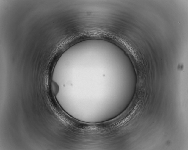 X0000101210589200806270856