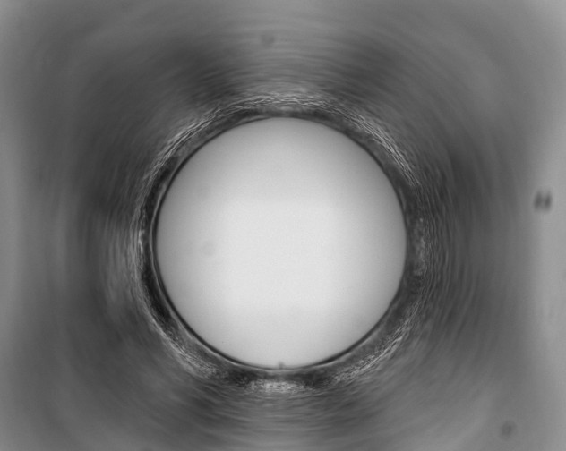 X0000101210590200806270856