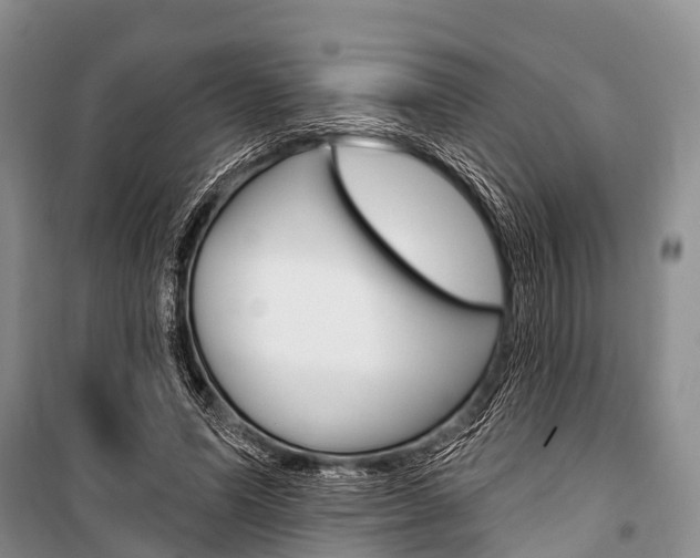 X0000101210591200806270856