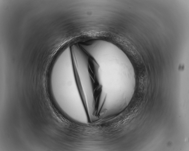 X0000101210592200806270856