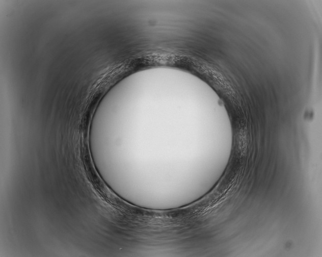 X0000101210594200806270856