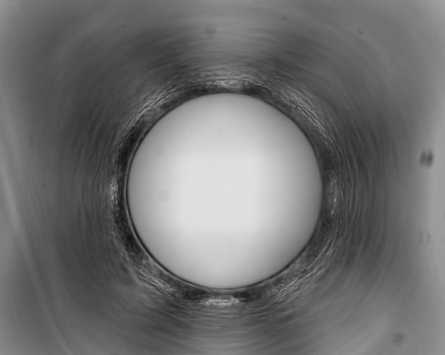 X0000101210595200806270856