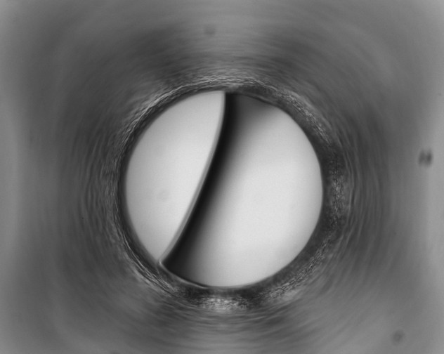 X0000101210596200806270856