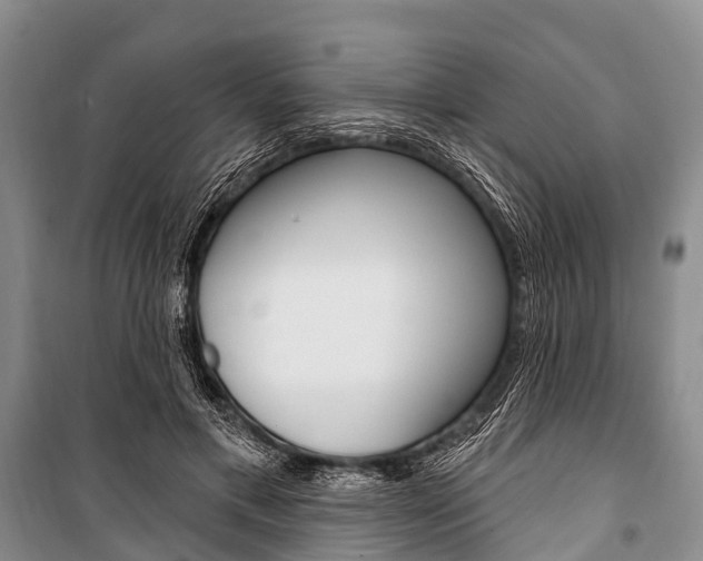 X0000101210597200806270856