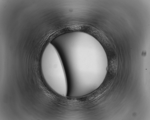 X0000101210600200806270856