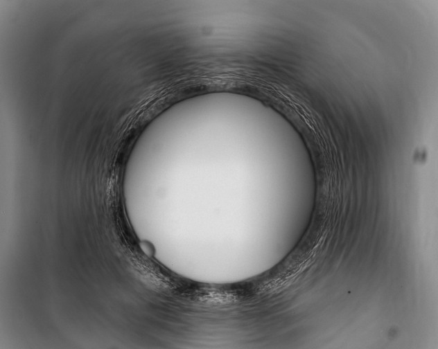 X0000101210601200806270856
