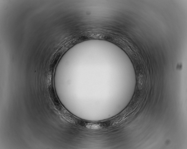 X0000101210602200806270856