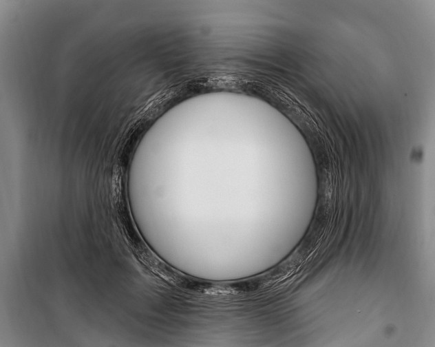 X0000101210603200806270856