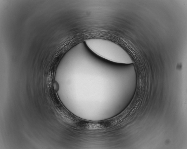 X0000101210605200806270856