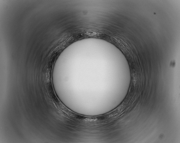 X0000101210606200806270856
