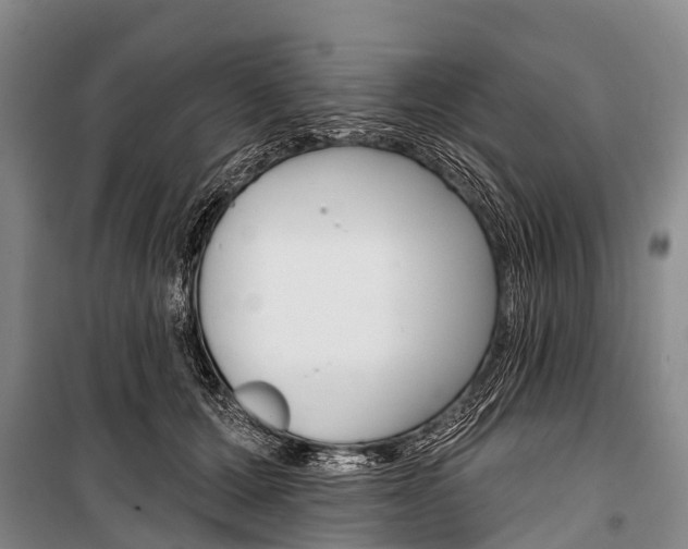 X0000101210607200806270856