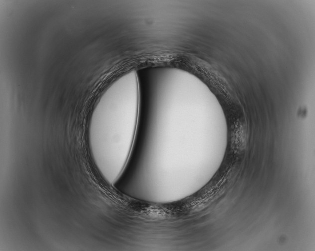 X0000101210608200806270856