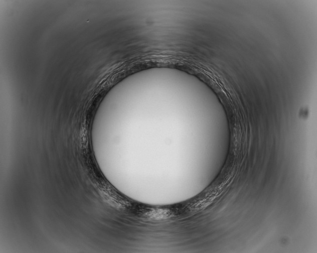 X0000101210609200806270856