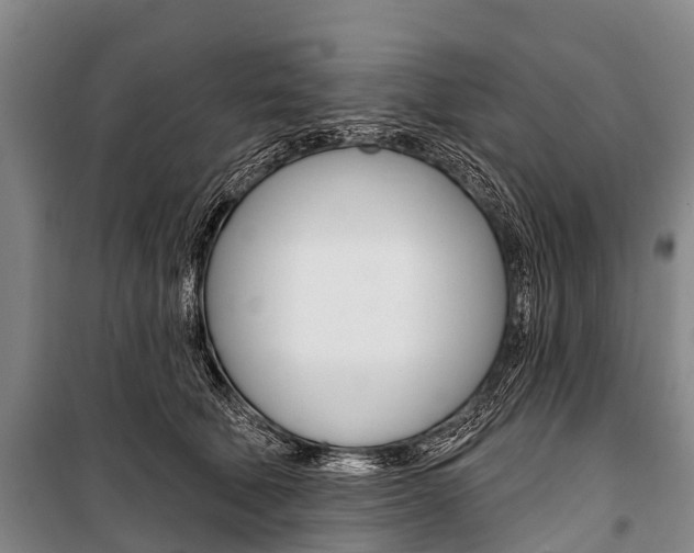 X0000101210610200806270856