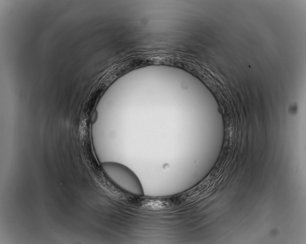 X0000101210611200806270855