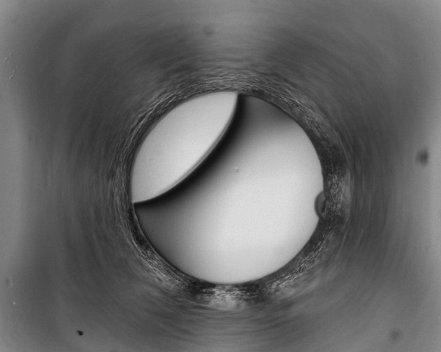 X0000101210612200806270855