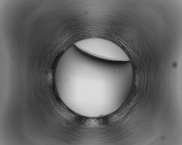 X0000101210613200806270855