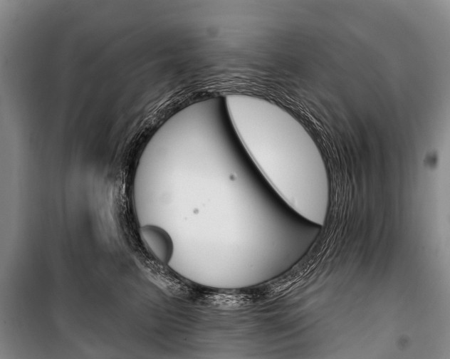 X0000101210615200806270855