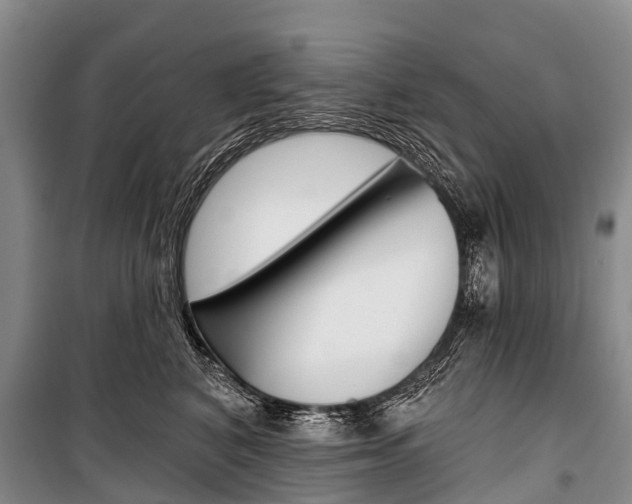 X0000101210616200806270855