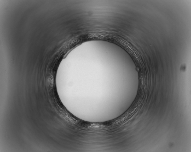 X0000101210617200806270855