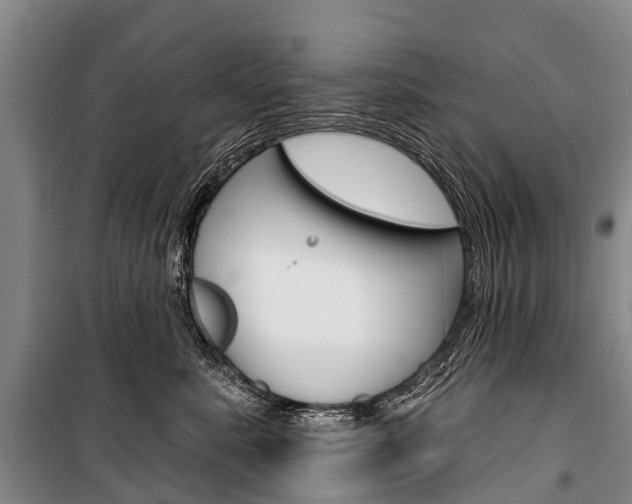 X0000101210619200806270855
