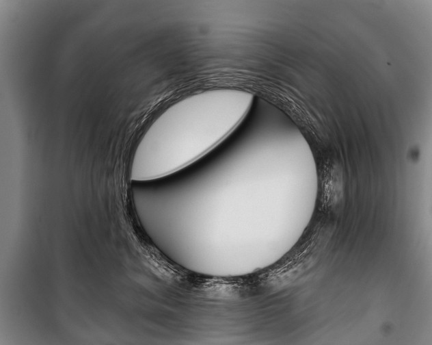 X0000101210620200806270855
