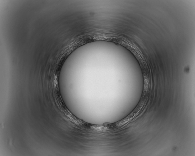 X0000101210621200806270855